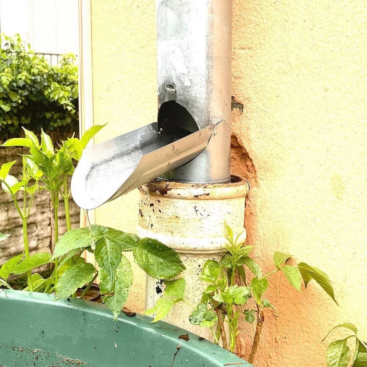 Wasser sparen mit Öffnung in Regenrohr
