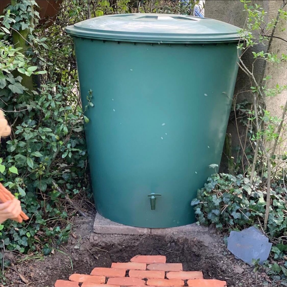 Wasser sparen mit Regentonne