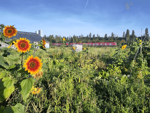 Die Kooperative - Parzelle 1