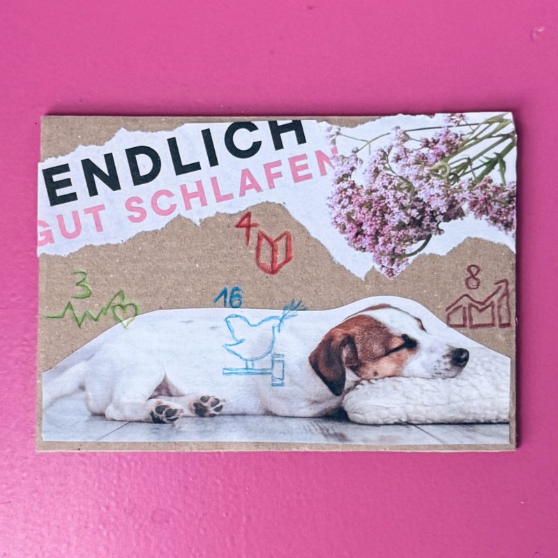 was hat guter Schlaf mit Nachhaltigkeit zu tun?